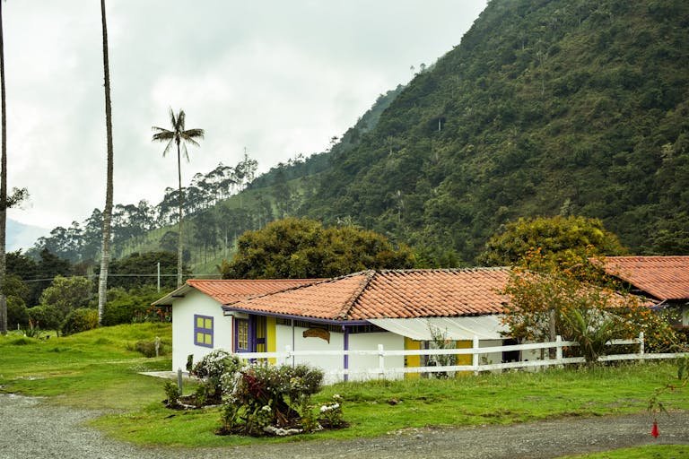 Buildings and Palm Trees Between Mountains, Valle de Cocora, Columbia