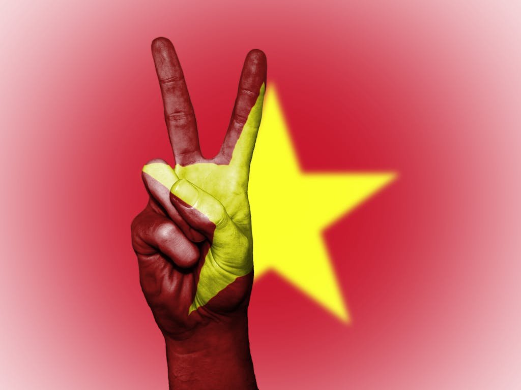 Peace Sign Hand on Veitnam flag