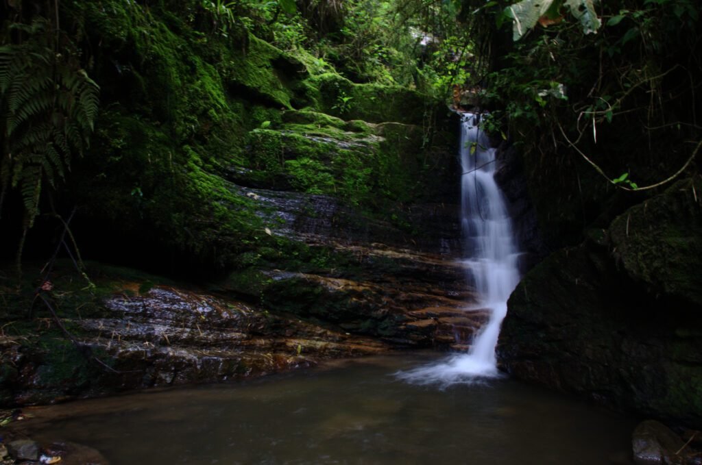 La Chorrera Waterfall