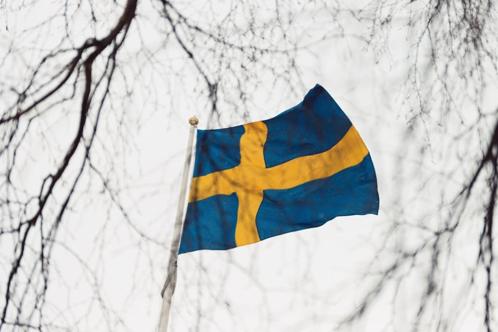 Bare Tree Branches around Flag of Sweden