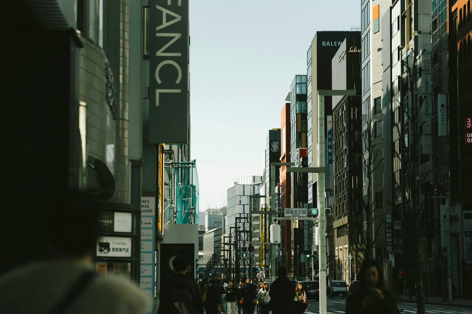 Street Among Modern Buildings in Tokyo, Japan